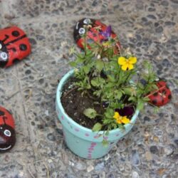 Marinkäfer neben einem Blumentopf