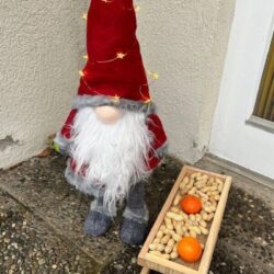 Weihnachtschlous vor der Spielgruppe